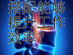 哪些午餐搭配能够提升工作效率？