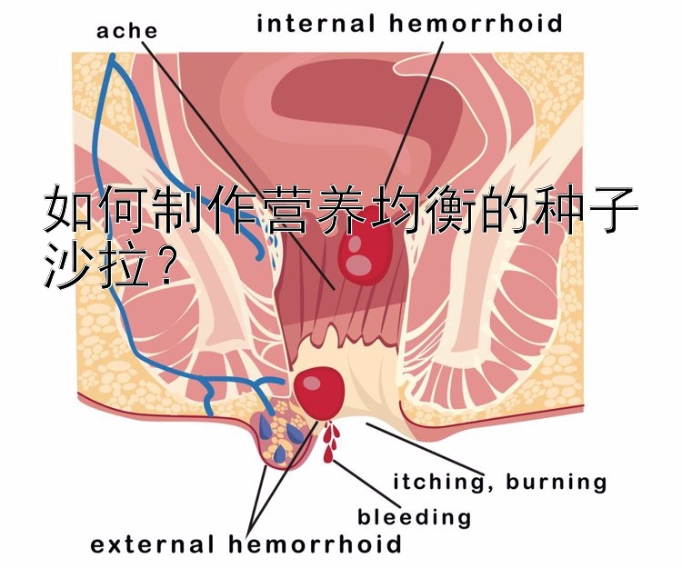 如何制作营养均衡的种子沙拉？