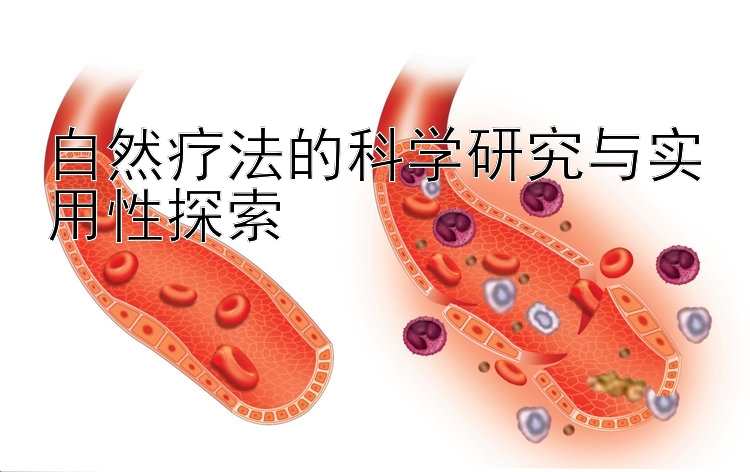 自然疗法的科学研究与实用性探索