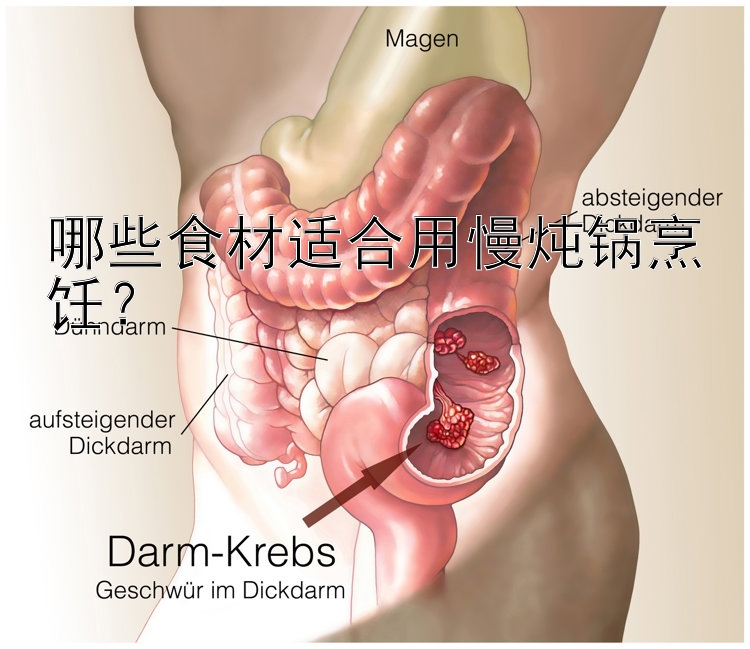 哪些食材适合用慢炖锅烹饪？