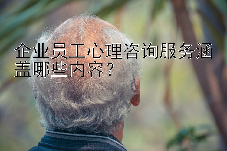 企业员工心理咨询服务涵盖哪些内容？