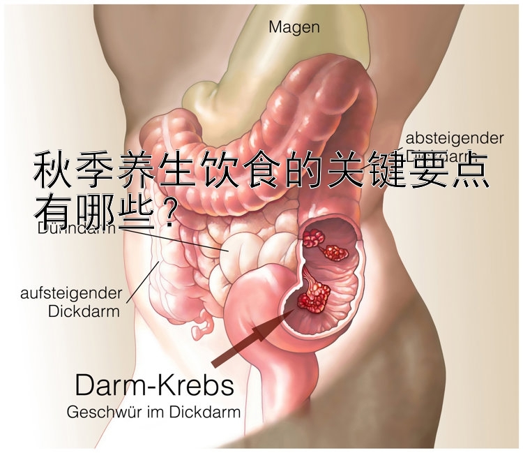 秋季养生饮食的关键要点有哪些？