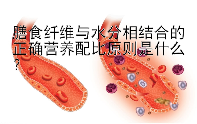 膳食纤维与水分相结合的正确营养配比原则是什么？