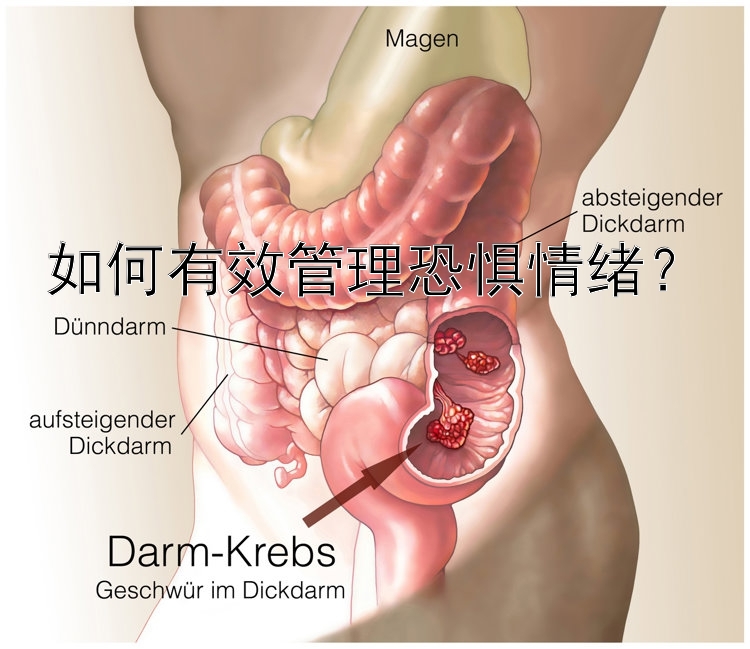 如何有效管理恐惧情绪？