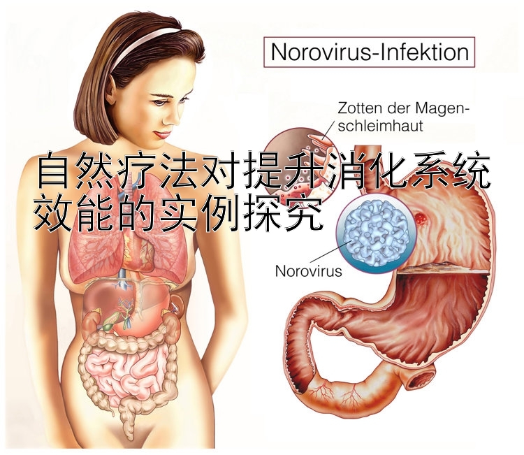 自然疗法对提升消化系统效能的实例探究