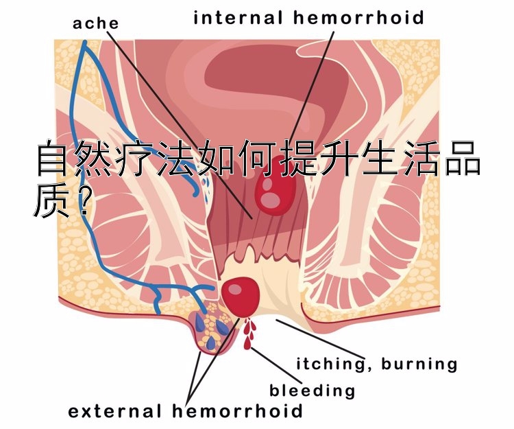 自然疗法如何提升生活品质？