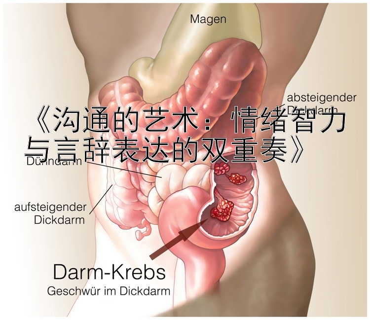 《沟通的艺术：情绪智力与言辞表达的双重奏》