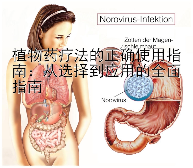 植物药疗法的正确使用指南：从选择到应用的全面指南