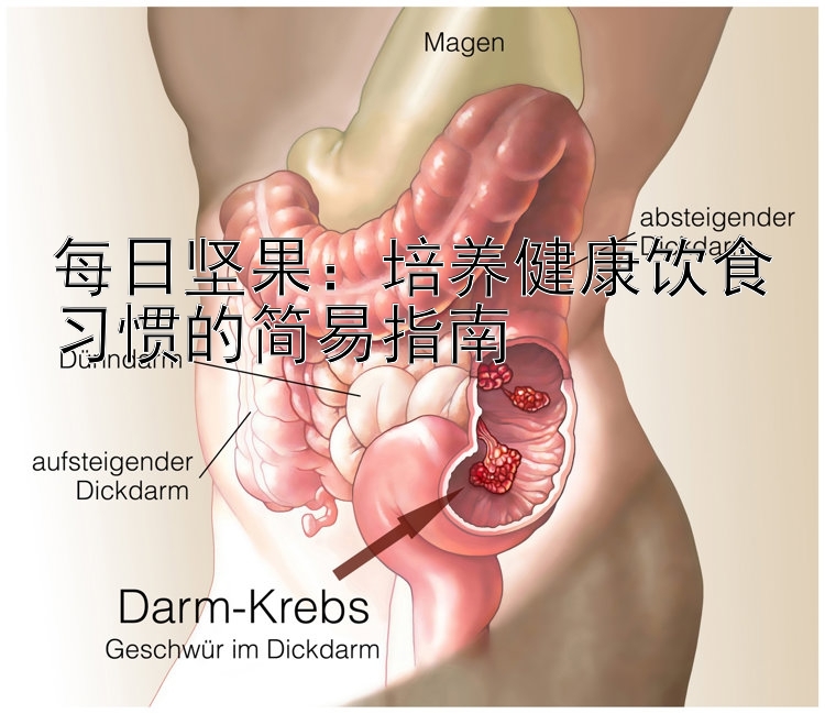 每日坚果：培养健康饮食习惯的简易指南