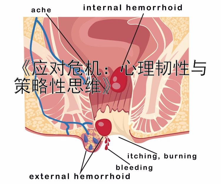 《应对危机：心理韧性与策略性思维》