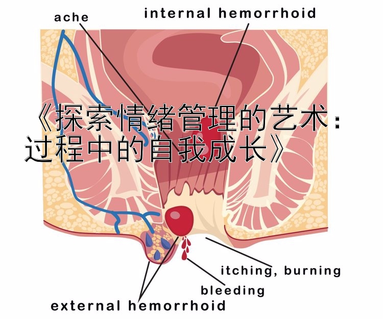 《探索情绪管理的艺术：过程中的自我成长》