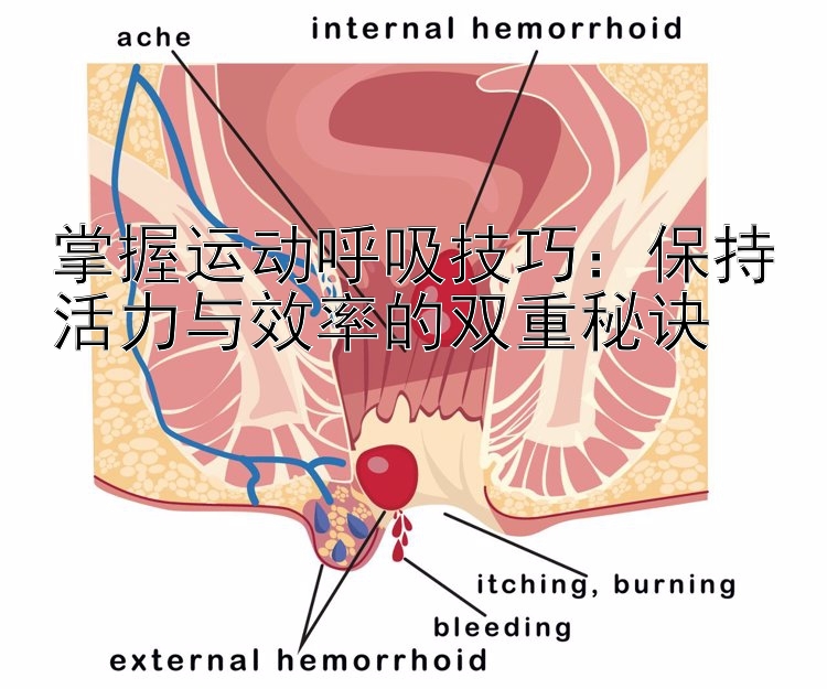 掌握运动呼吸技巧：保持活力与效率的双重秘诀