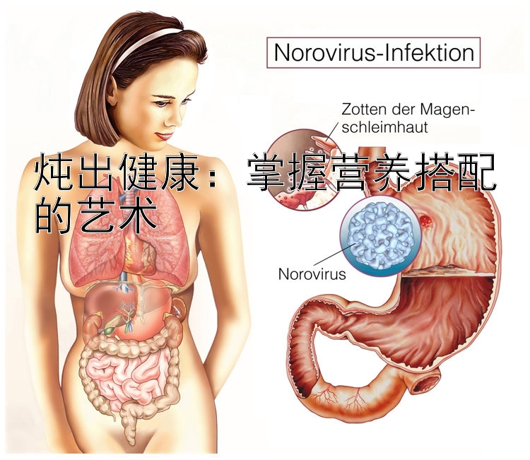 炖出健康：掌握营养搭配的艺术