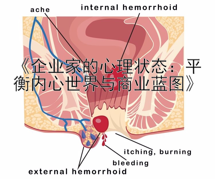 《企业家的心理状态：平衡内心世界与商业蓝图》