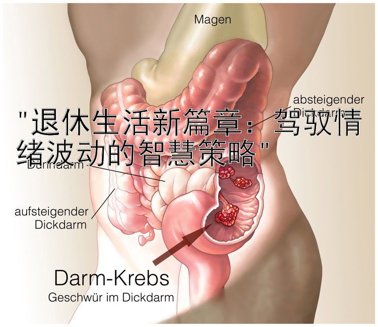 退休生活新篇章：驾驭情绪波动的智慧策略