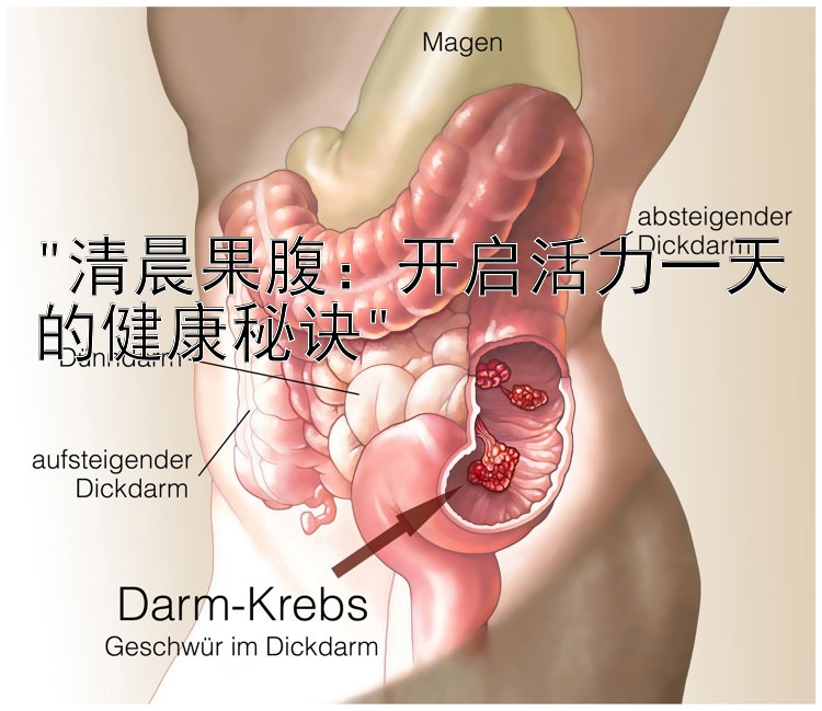 清晨果腹：开启活力一天的健康秘诀