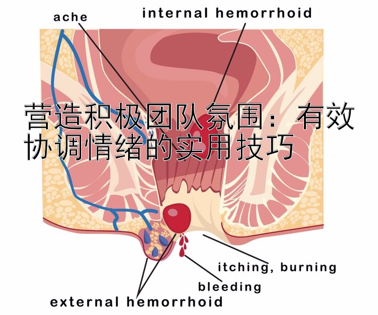 营造积极团队氛围：有效协调情绪的实用技巧