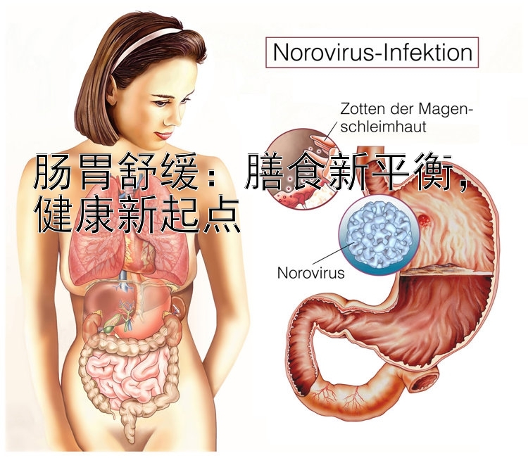 肠胃舒缓：膳食新平衡，健康新起点