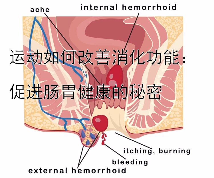 运动如何改善消化功能：  
促进肠胃健康的秘密