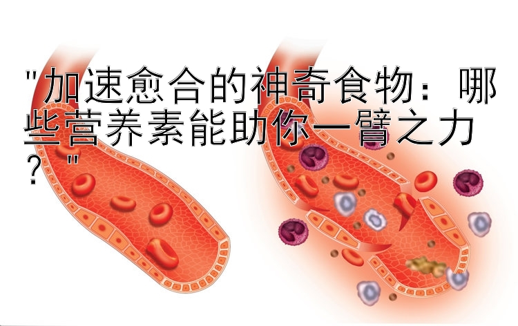 加速愈合的神奇食物：哪些营养素能助你一臂之力？