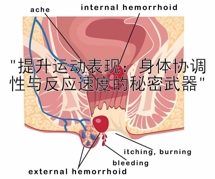 提升运动表现：身体协调性与反应速度的秘密武器